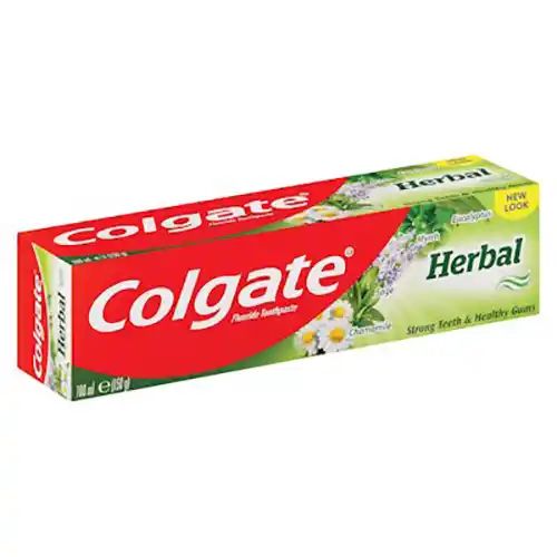 Toothpaste Herbal 100g